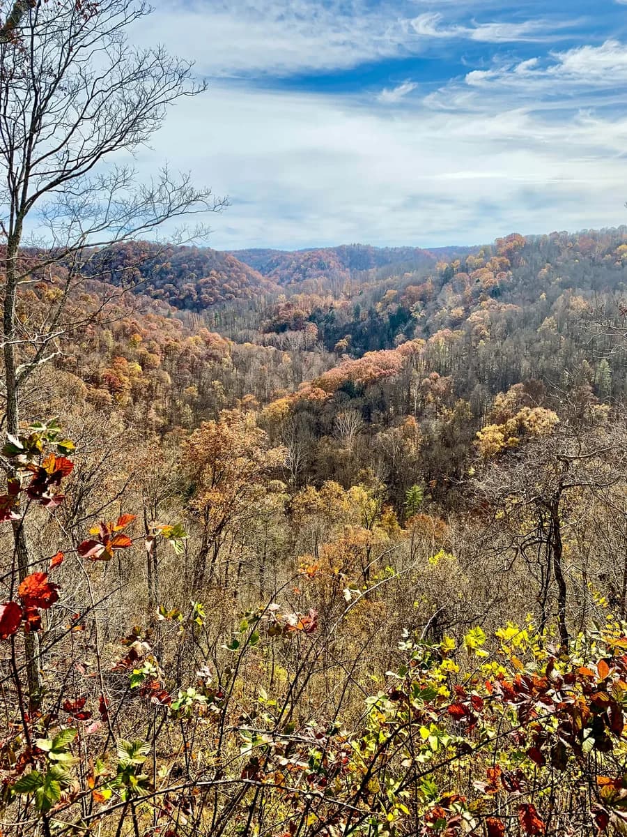 Wild Land Management LLC — verified Ohio home-services pro