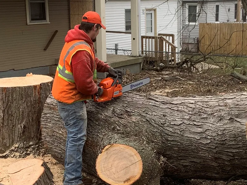 1st Choice R & R Tree Service — view 1 of 1