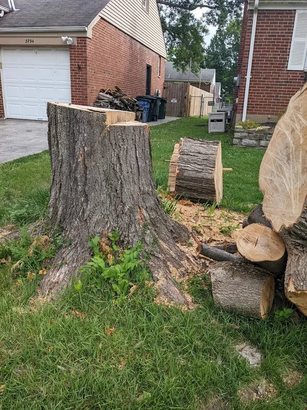 Aj's Tree Service — view 1 of 1