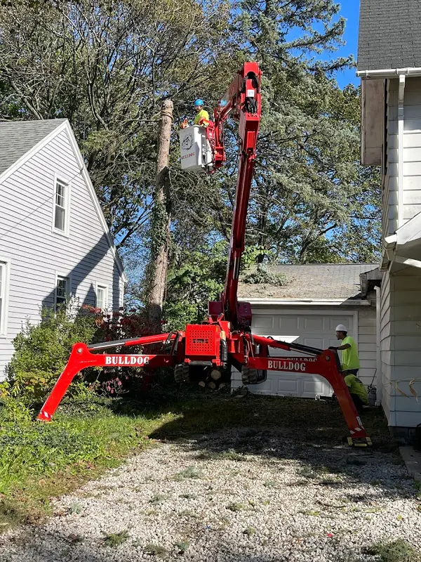 All Seasons Tree Care — view 1 of 1
