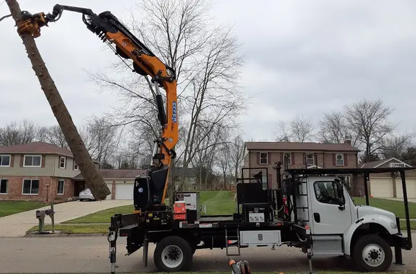 ArborCare Tree Service — view 1 of 1