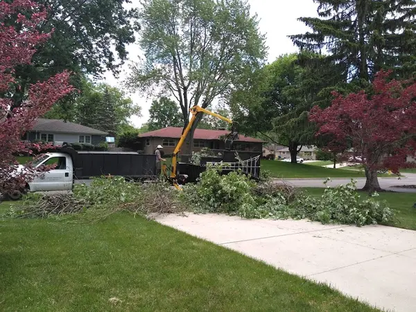 Ascher Tree Services LLC — view 1 of 1