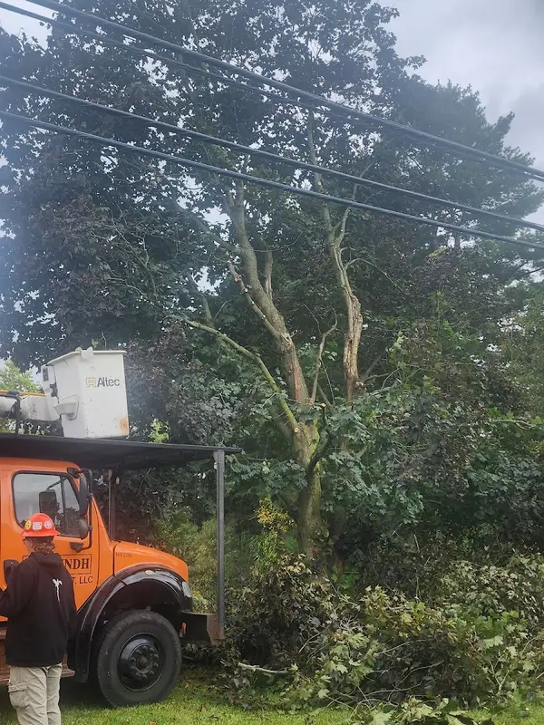 Asplundh Tree Expert LLC — view 1 of 1