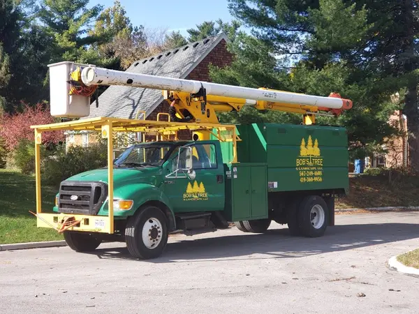Bob's Tree & Landscape LLC — view 1 of 1