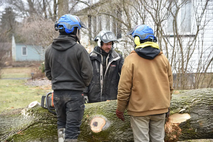 Brubaker Tree Service, LLC — view 1 of 1