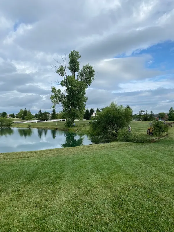 Cardinal Landscape, Tree Service & Lawn Care — view 1 of 1