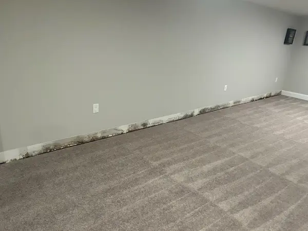 Certified Professional Restoration — view 1 of 1