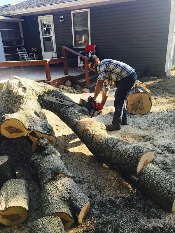 Chuck's Tree Service — view 1 of 1
