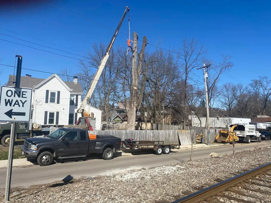 Cincinnati Arbor Services — view 1 of 1