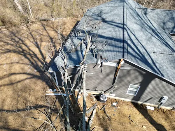 Clean Cut Tree Service, Llc — view 1 of 1