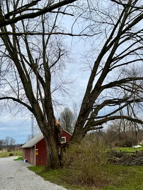 Columbus Tree Care — view 1 of 1