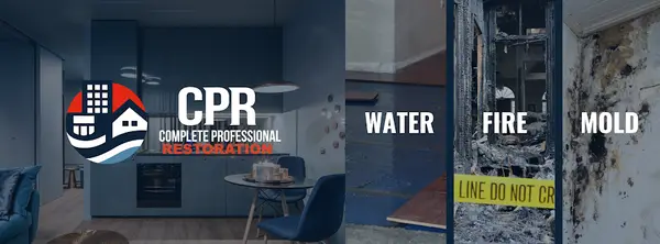 Complete Professional Restoration — view 1 of 1