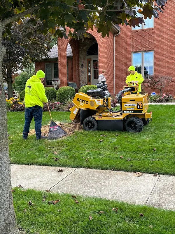 COXS TREE AND LAWN CARE LLC — view 1 of 1