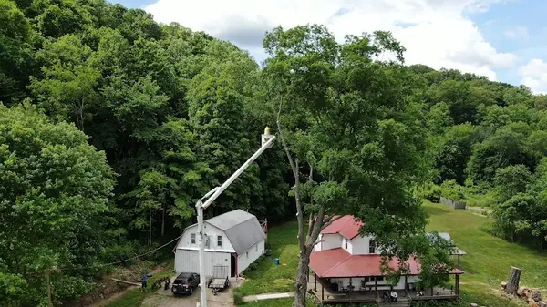 Custom Tree Service - Complete Tree Care — view 1 of 1