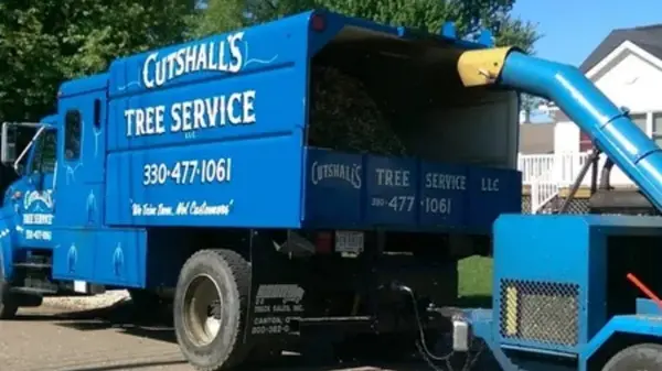 Cutshall's Tree Service, LLC. — view 1 of 1