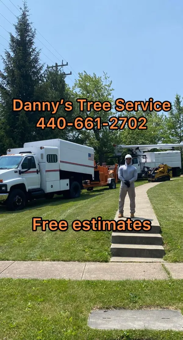 Danny’s Tree Service — view 1 of 1