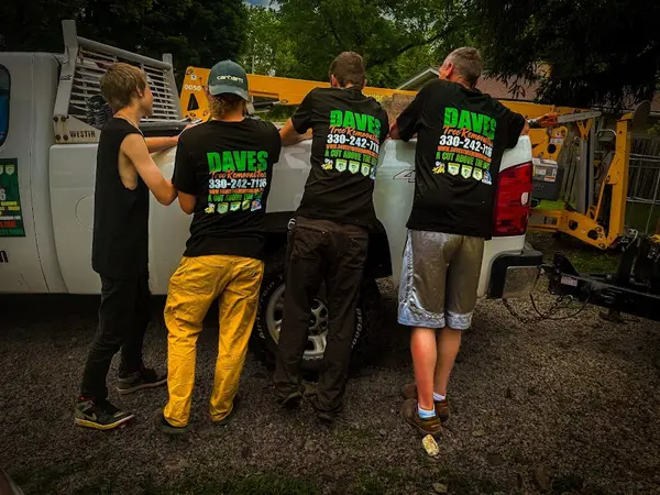 Daves Tree Removal Inc. — view 1 of 1