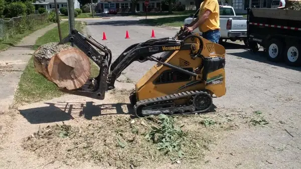 Double D's Stump Grinding & Removal — view 1 of 1