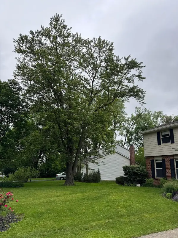Duffey Tree Care — view 1 of 1