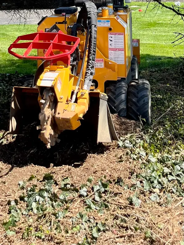 Eastside Stump Removal — view 1 of 1
