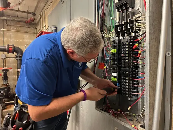Electrical Service Professionals — view 1 of 1