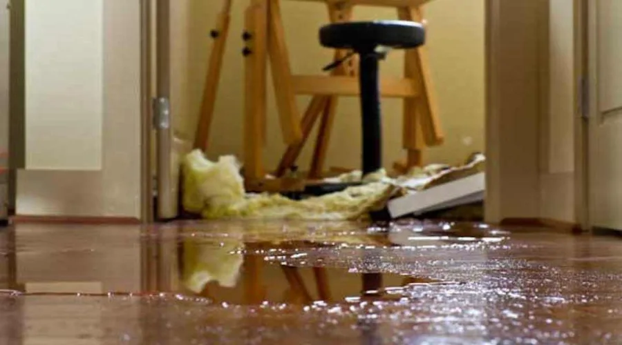 Erie Restoration | Fire & Water Damage Specialist — view 1 of 1