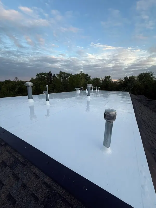 Exterior Alliance — view 1 of 1