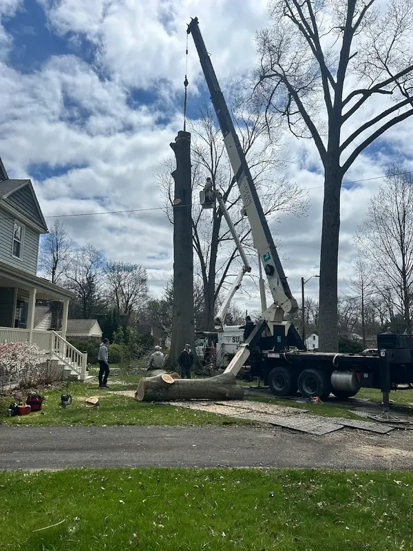 Fairway Tree Service — view 1 of 1