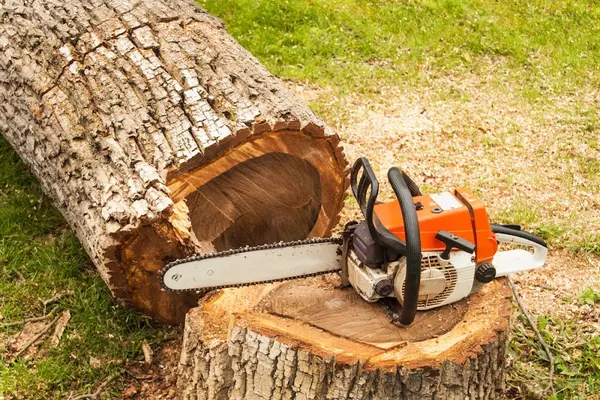 Frazier Tree Care LLC — view 1 of 1