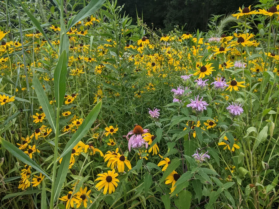 Keystone Landscapes — view 1 of 1