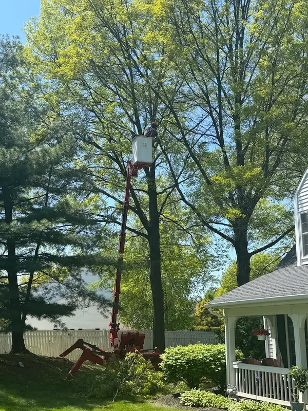 Guardian Tree Care — view 1 of 1