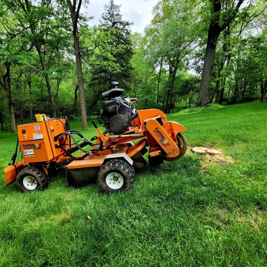 HaleRazor Outdoor Services — view 1 of 1