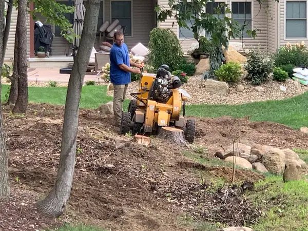 Havanas Stump Grinding — view 1 of 1