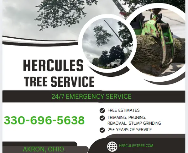 Hercules Tree Service LLC — view 1 of 1