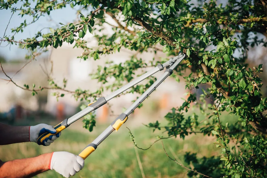 Hometown Tree Service — view 1 of 1