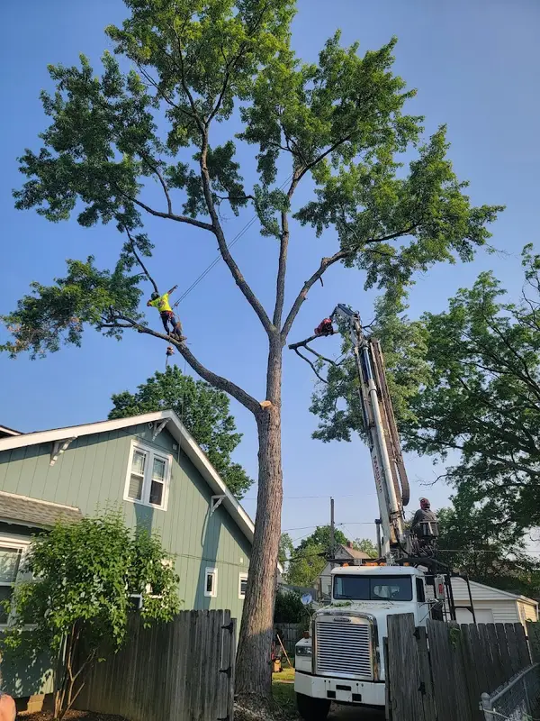 Humble Tree Services LLC — view 1 of 1