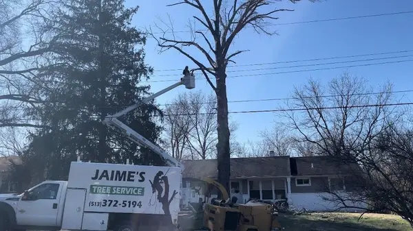 Jaime's Tree Service — view 1 of 1