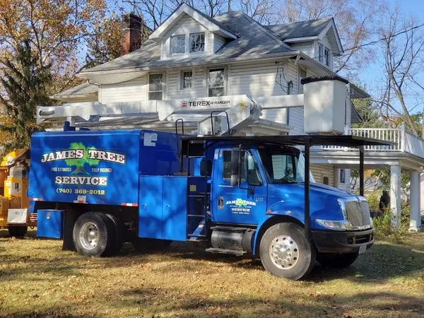 James Tree Service — view 1 of 1