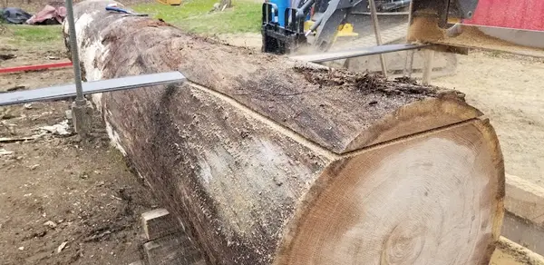 JCE Tree Service — view 1 of 1
