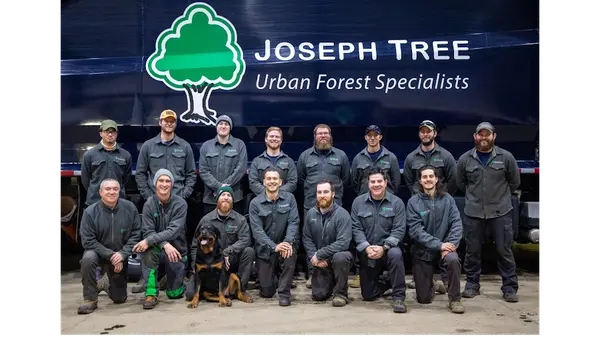 Joseph Tree Service — view 1 of 1