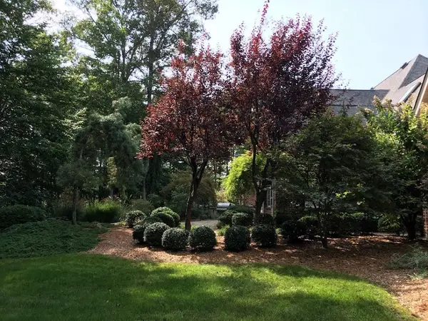 Land and Tree Tending Company — view 1 of 1