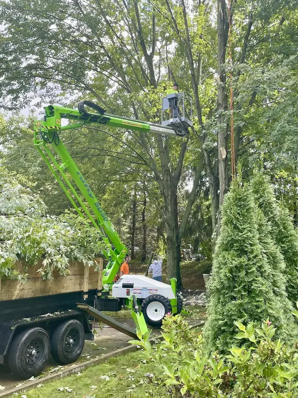 Lavish Landscaping Service — view 1 of 1