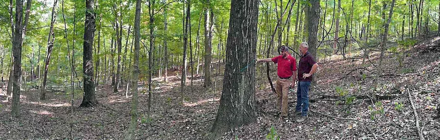 Millwood Forest Management — view 1 of 1