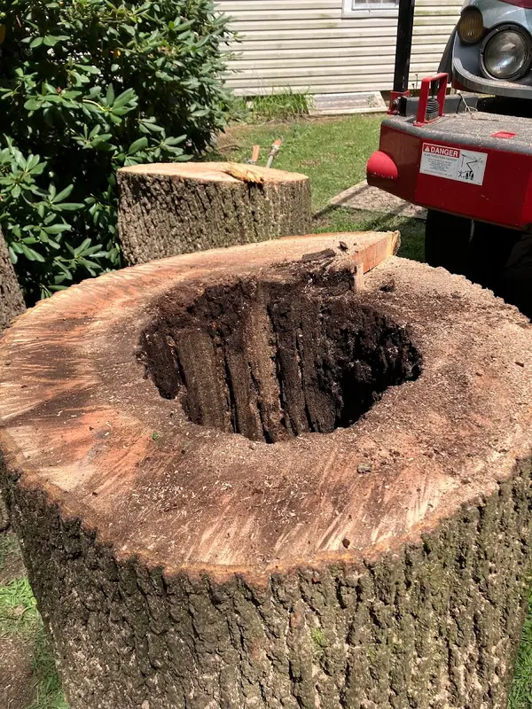 Lumberjack Tree Service — view 1 of 1