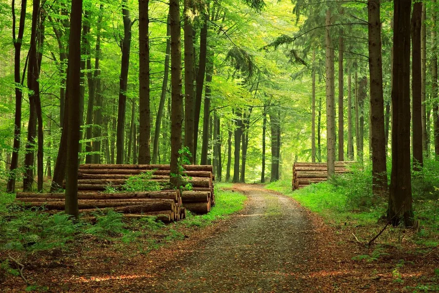 Ohio Foresters, LLC — view 1 of 1