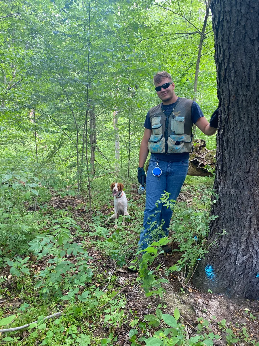 Bird Dog Forestry Consulting — view 1 of 1