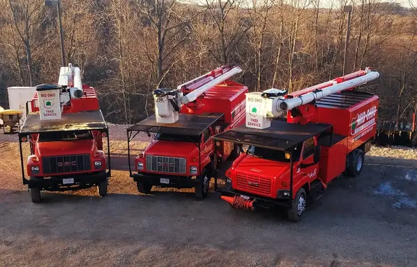 Mid Ohio Tree Service — view 1 of 1