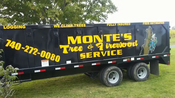 Montes tree&firewood service LLC — view 1 of 1