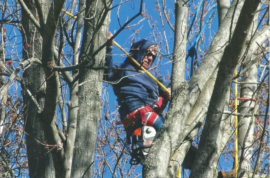 Peterman Brothers Tree Service LLC — view 1 of 1