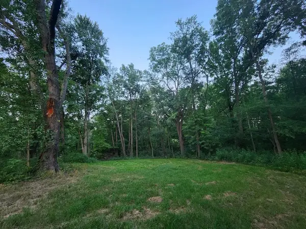 Pilolli Land & Tree Maintenance — view 1 of 1